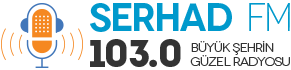 site logo